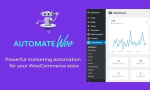 AutomateWoo - WooCommerce Marketing Automation 5.6.9 GPL Download | BeGPL