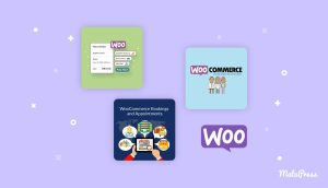 WooCommerce Appointment 3.2.6 - GPL Download